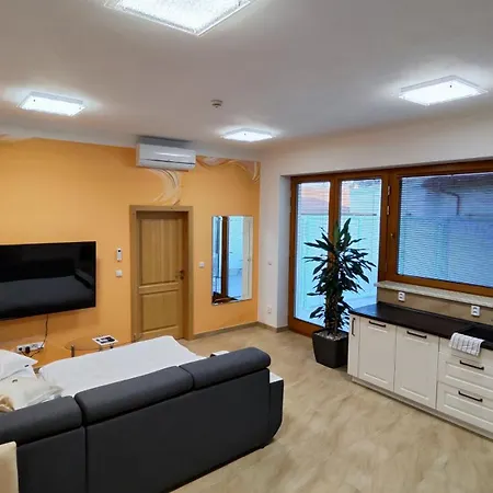 Apartmany Dacice Exterior photo